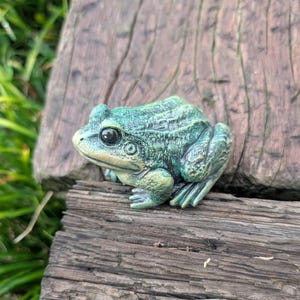 Realistic Concrete Frog Hand-Painted Cement Garden Frog Statue Outdoor Toad Sculpture Animal Frog Lover Housewarming Gift Stone Bull Frog image 2
