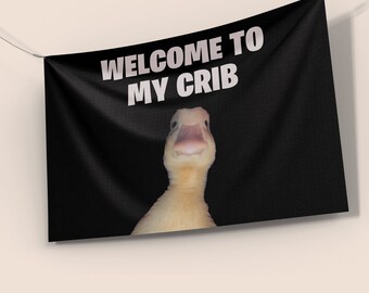 Welcome To My Crib Flag, 3x2 Ft, Wall Hanging, Funny Flag For Dorm Room