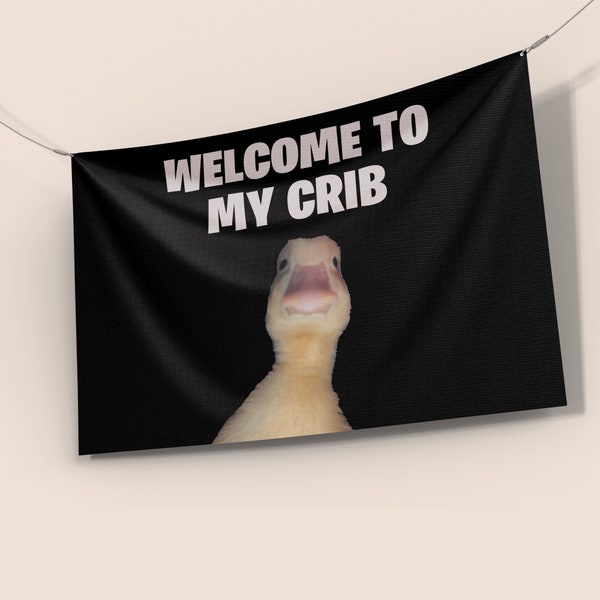 Welcome To My Crib Flag, 3x2 Ft, Wall Hanging, Funny Flag For Dorm Room