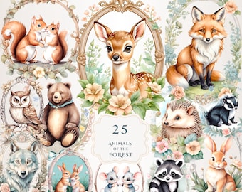 Animaux de la forêt des cliparts | Clipart millésime | Clipart de conte de fées | Clipart aquarelle | Illustrations d'animaux mignons | PNG transparent