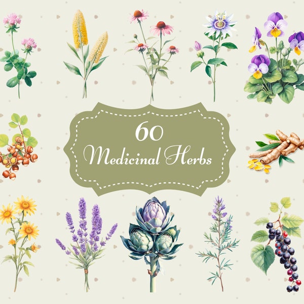 Medicinal Herbs Clipart Collection | Aromatic Herbs | Officinal Plants | Herbal Medicine | Vintage Watercolor | Garden Herbs Commercial Use