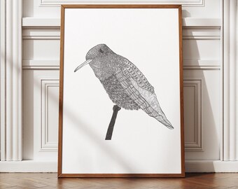 Hummingbird Print: Black and White Minimalist Bird Art Poster