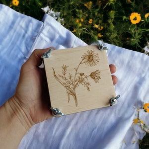 Regalo del día de las madres, sorteo de manzanilla con prensa de flores de bolsillo, mini prensa botánica secando plantas y flores, kit de prensa de flores, regalo de cumpleaños, mg1