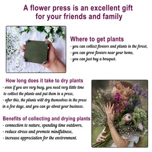 May include: A square, olive-green flower press with silver corner hardware is held over a white surface. The image includes text about collecting and drying plants, and a person holding a bouquet of dried flowers.