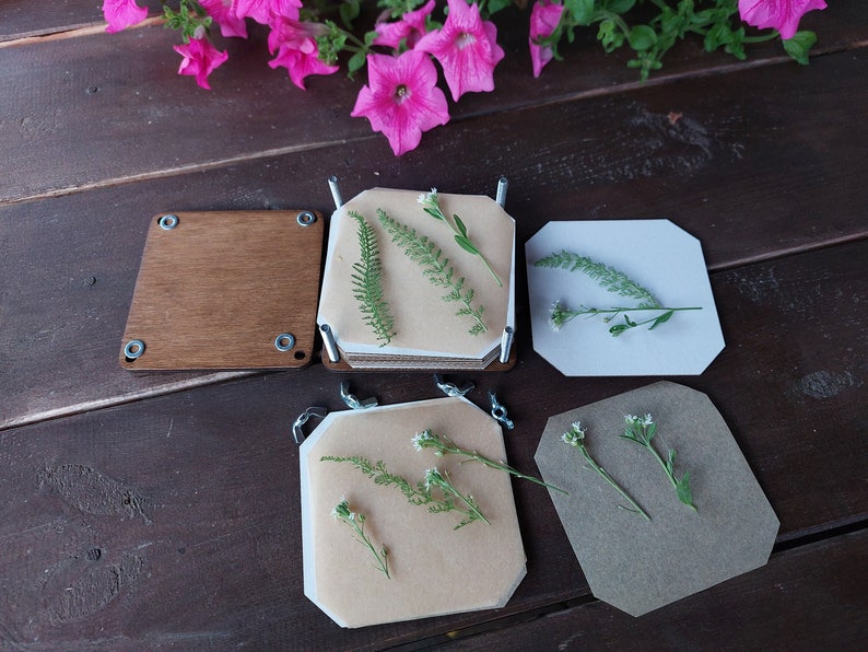 May include: Wooden flower presses with dried flowers and greenery. The presses are open, revealing the pressed plants. Pink flowers are in the background. The presses are made of wood and metal hardware.