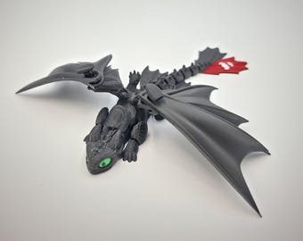 Toothless/Light Fury