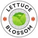 Lettuce Blossom