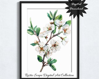 Weißdorn Blume druckbare Kunst, Mai Geburt Monat Floral digitaler Download, botanische Wand-Dekor, Frühlingsblüte Illustration