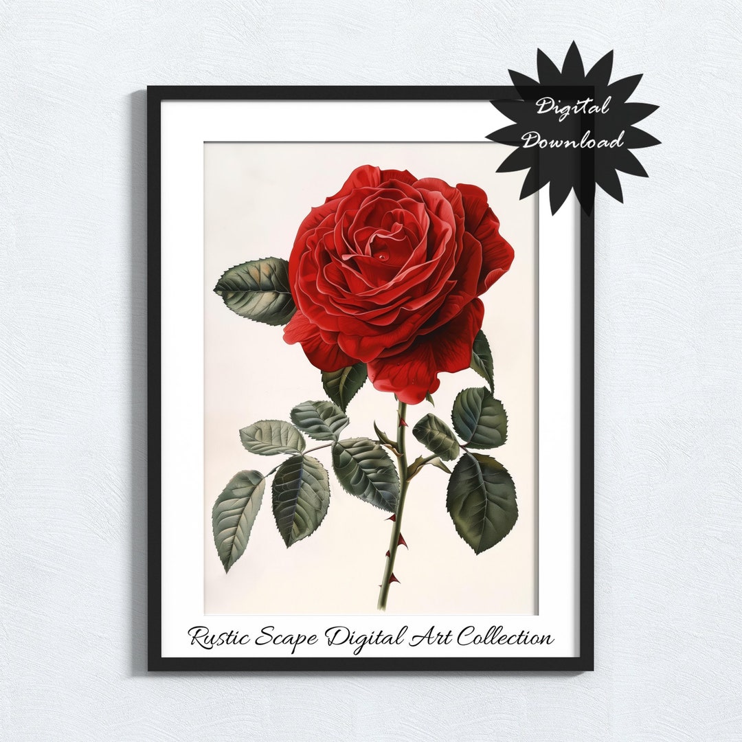 June Birth Flower Red Rose Printable Art Instant Download Home Decor - Etsy