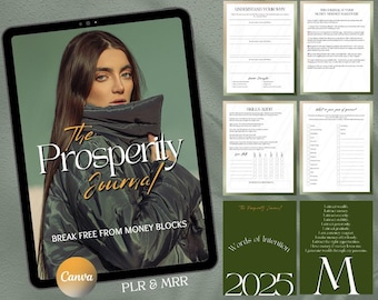 Plantilla de Canva para el diario financiero de prosperidad, mentalidad financiera, PLR, MRR, planificador de presupuesto, hábitos financieros, seguimiento de patrimonio