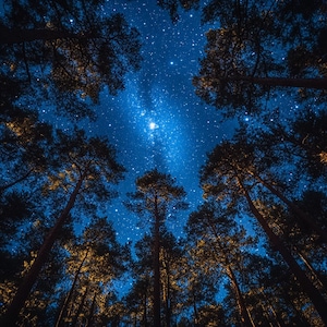 24 Clipart de Floresta Estrelada à Noite, Paisagem Celestial Digital Download DIY Decoração de Casa Arte de Parede Impressão PNG Aquarela Floresta Clipart Cartão Fazendo