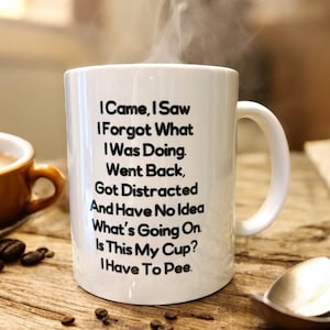I Came I Saw I Forgot  Coffee Mug, Sarcastic Coffee Mug, Funny Mug, Unique Coffee Gift, Coffee  Lover Gift,  Gift for seniors, gag gift