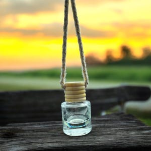 Car Diffusers, Freshners, Cute Car diffussers, Hanging diffuser, Freshies, Car accessories,fall scents