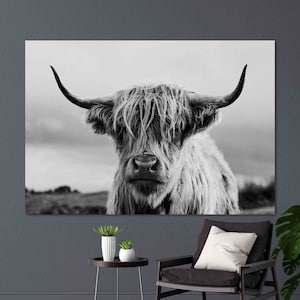Highland Cattle Wall Art Cattle Canvas Cattle Wall Art Cattle Print Animal Wall Art Animal Canvas Print Animal Print Animal Artwork