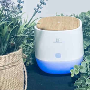 May include: A white and blue essential oil diffuser with a wood grain top. The diffuser has the text "ACTIAN HOME" and is surrounded by greenery and a potted plant.