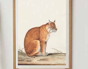 May include: A watercolor painting of a brown and white lynx sitting on a light brown ground with green grass. The lynx is looking to the right of the image. The painting is framed in a light brown wood frame. The text "MY ENGLISH HOUSE" is printed below the frame.