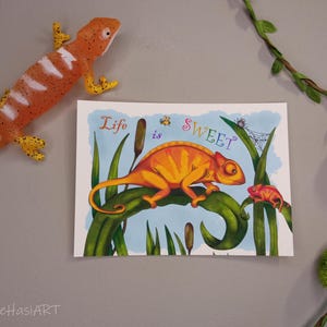 La vie est douce, carte de vœux, carte postale, caméléon, carte drôle