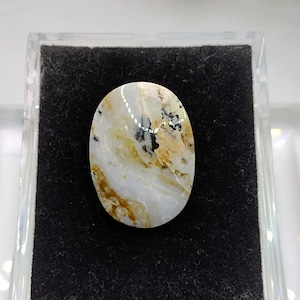 Beautiful Indonesian Opalized Wood Display Cabochon 40MM