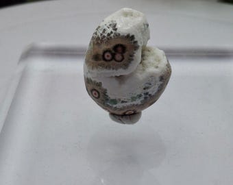 Spectacular Druzy Old Stock Ocean Jasper Free Standing Freeform Display 1-1/4 Inch