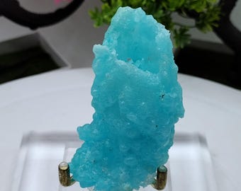 Exquisite Blue Salammoniac/Lecontite Display Specimen 4 Inch