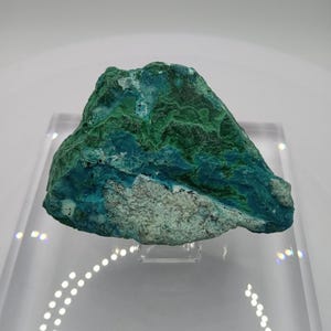 Beautiful Shattuckite/Chrysocolla/ Malachite Display Specimen 3 Inch