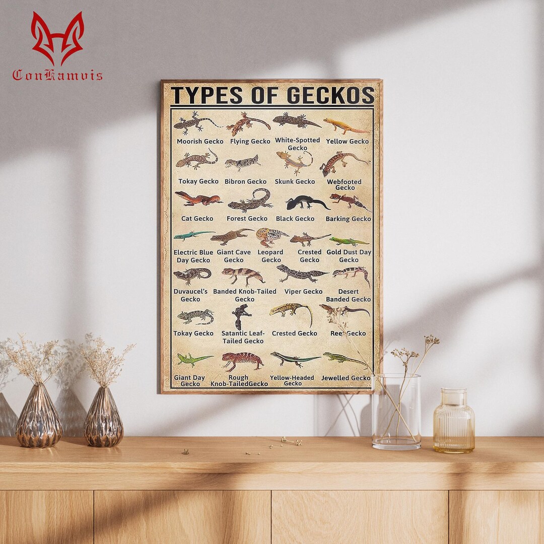 Types of Geckos Poster, Vintage Reptile Chart, Gecko Identification ...
