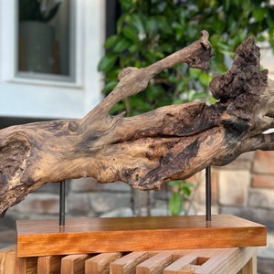 Könnte beinhalten: Ein Stück Treibholz-Kunst mit einer natürlichen, verwitterten Oberfläche. Das Holz ist auf einem Holzsockel mit zwei Metallstäben montiert. Das Treibholz hat eine einzigartige Form und Textur, was es zu einem schönen und interessanten Dekorationsstück macht.