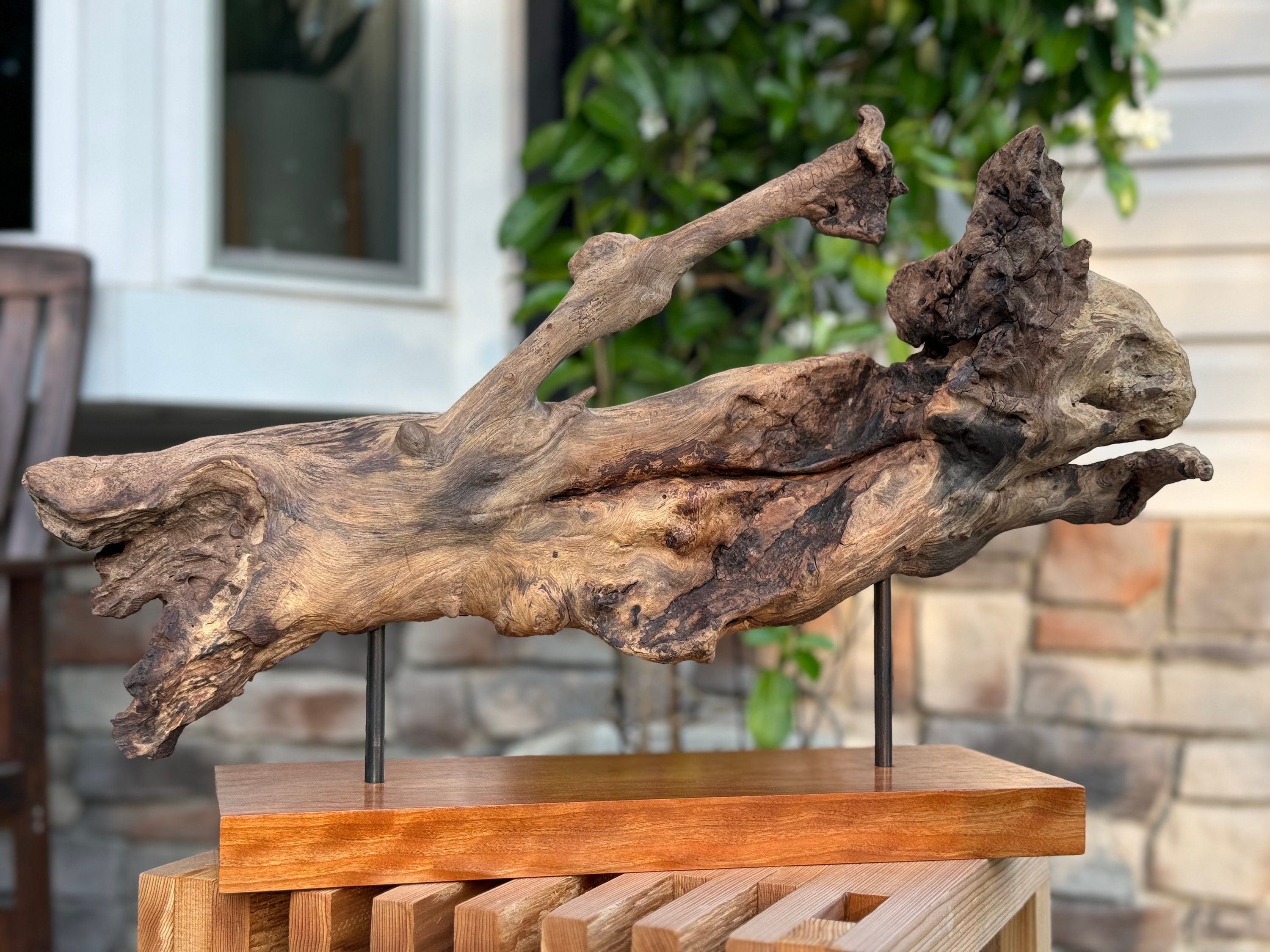 Reclaimed Birch Root Sculpture: Hand-blackened Steel & Polished