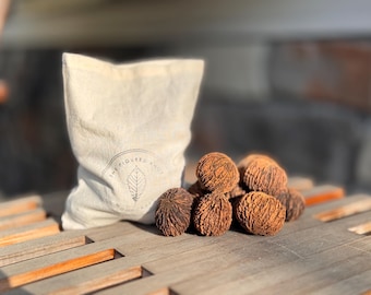 Peut inclure: Une pochette à cordon en tissu beige avec un logo circulaire représentant une feuille et le texte THE FIGURED KNOT WOODCRAFT, accompagnée d'un groupe de plusieurs coques de noix rondes, texturées et brun foncé.