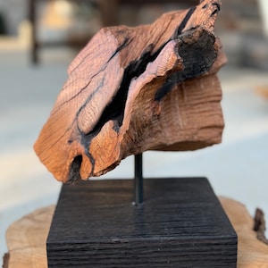 Puede incluir: Una escultura de madera única. Una pieza de madera desgastada, marrón y negra, montada sobre una base de madera negra. La escultura está sostenida por una fina varilla metálica oscura, que resalta la veta y la textura natural de la madera.