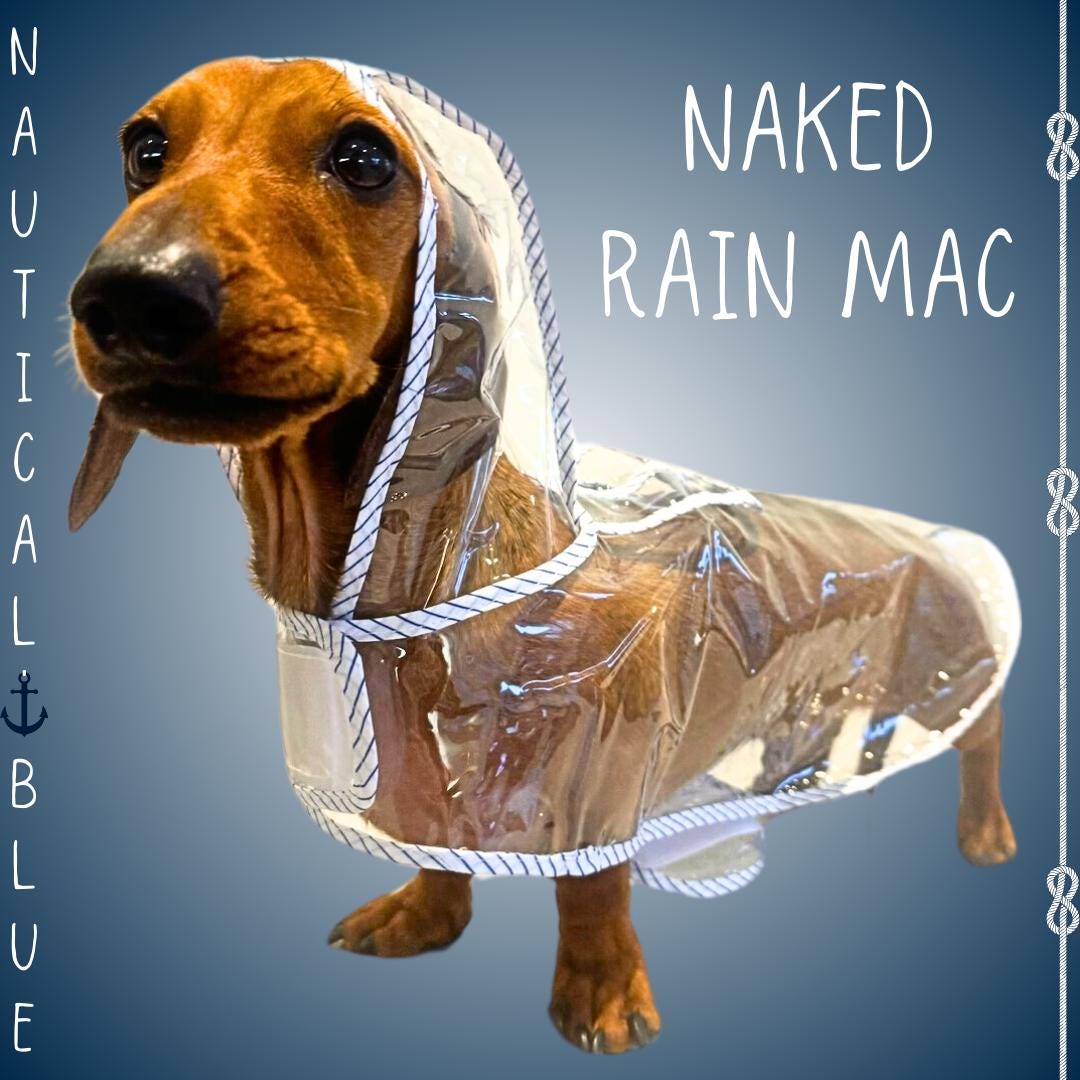 Rain Boot Dachshund Australia