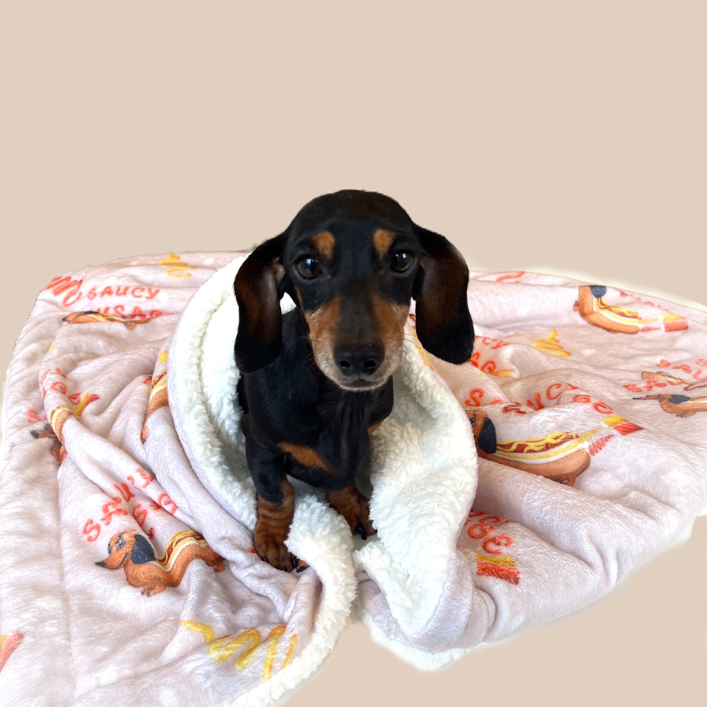 Sausage dog throw sale