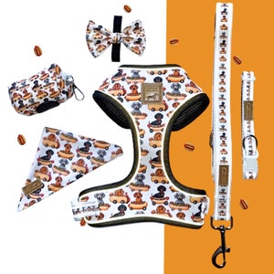 Pode incluir: Um arnês branco para cão com estampa de dachshund e cachorro-quente, uma trela, um colar, uma bandana e uma gravata borboleta combinando. O conjunto é perfeito para um dono de cão que ama dachshunds e cachorros-quentes.