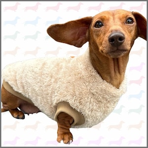 Butterscotch Beige Dackel Kuschelfleece - Sausage Dog Box Jumper