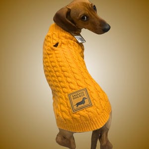Könnte beinhalten: Ein Dackel trägt einen senfgelben Zopfstrickpullover. Der Pullover hat ein Etikett mit der Aufschrift "SAUSAGE DOG BOX" und einer Dackelsilhouette. Der Hund blickt zur Kamera, den Kopf nach rechts gedreht.