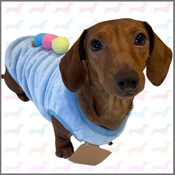 Sausage Dog Box Dachshund PJ's/Jumper - Blue Ice Cream Sundae