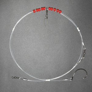 May include: A clear fishing line with red beads and two swivels. The line is looped into a circle and has a hook on one end.
