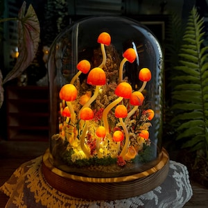 May include: A decorative glass cloche featuring illuminated orange mushroom sculptures. The mushrooms have curved stems and glowing caps, set amidst dried foliage and tiny lights. The cloche sits on a wooden base, creating a whimsical, fairy-tale aesthetic.