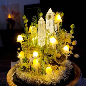 May include: A crystal and moss terrarium featuring glowing mushrooms and clear quartz crystals. The terrarium is illuminated from within, creating a magical and whimsical ambience.