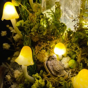 May include: A miniature forest scene featuring glowing yellow mushrooms, green moss, and a clear crystal. The scene is enclosed in a glass dome.
