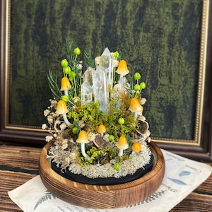 May include: A miniature forest scene with clear quartz crystals, moss, and small yellow mushrooms in a wooden circular planter.