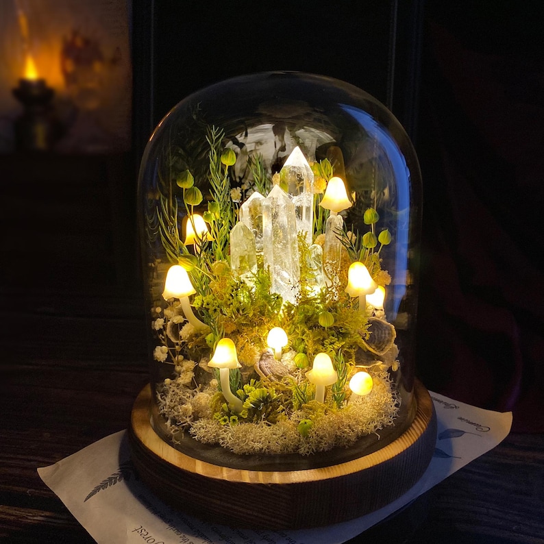 May include: A glass dome terrarium containing a miniature forest scene. The scene features white crystal formations, green moss, and small, glowing mushroom-shaped lights.