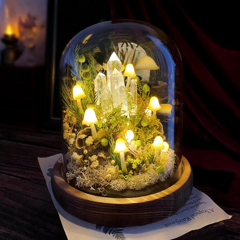 May include: A glass dome with a wooden base containing a miniature forest scene with white crystal formations, green moss, and small white mushrooms with warm yellow lights.