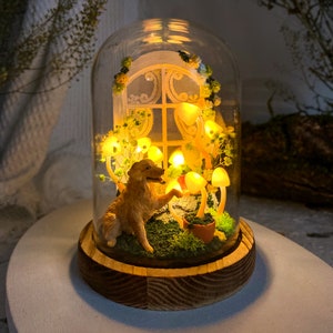 May include: A decorative glass dome featuring a golden retriever figurine interacting with glowing mushroom lights. The scene includes a miniature window with floral accents, set on a wooden base. The interior is illuminated.