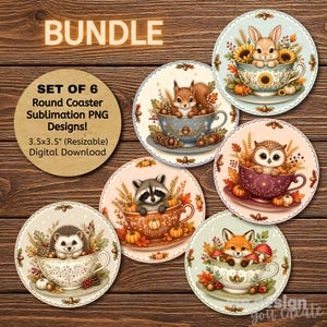 May include: A set of six round coaster sublimation PNG designs featuring illustrations of a rabbit, squirrel, owl, raccoon, hedgehog, and fox, each sitting in a decorative teacup surrounded by autumn elements like pumpkins and leaves.