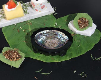 Abalone Shell Plate - Seafood, Caviar Presentation (16x12 cm)