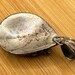 Vintage sterling silver pendant — view 9 of 10