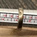 Vintage sterling silver ring — view 9 of 10