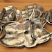 1980s sterling silver concha belt — view 13 of 20