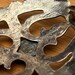 Vintage sterling silver belt buckle — view 16 of 18